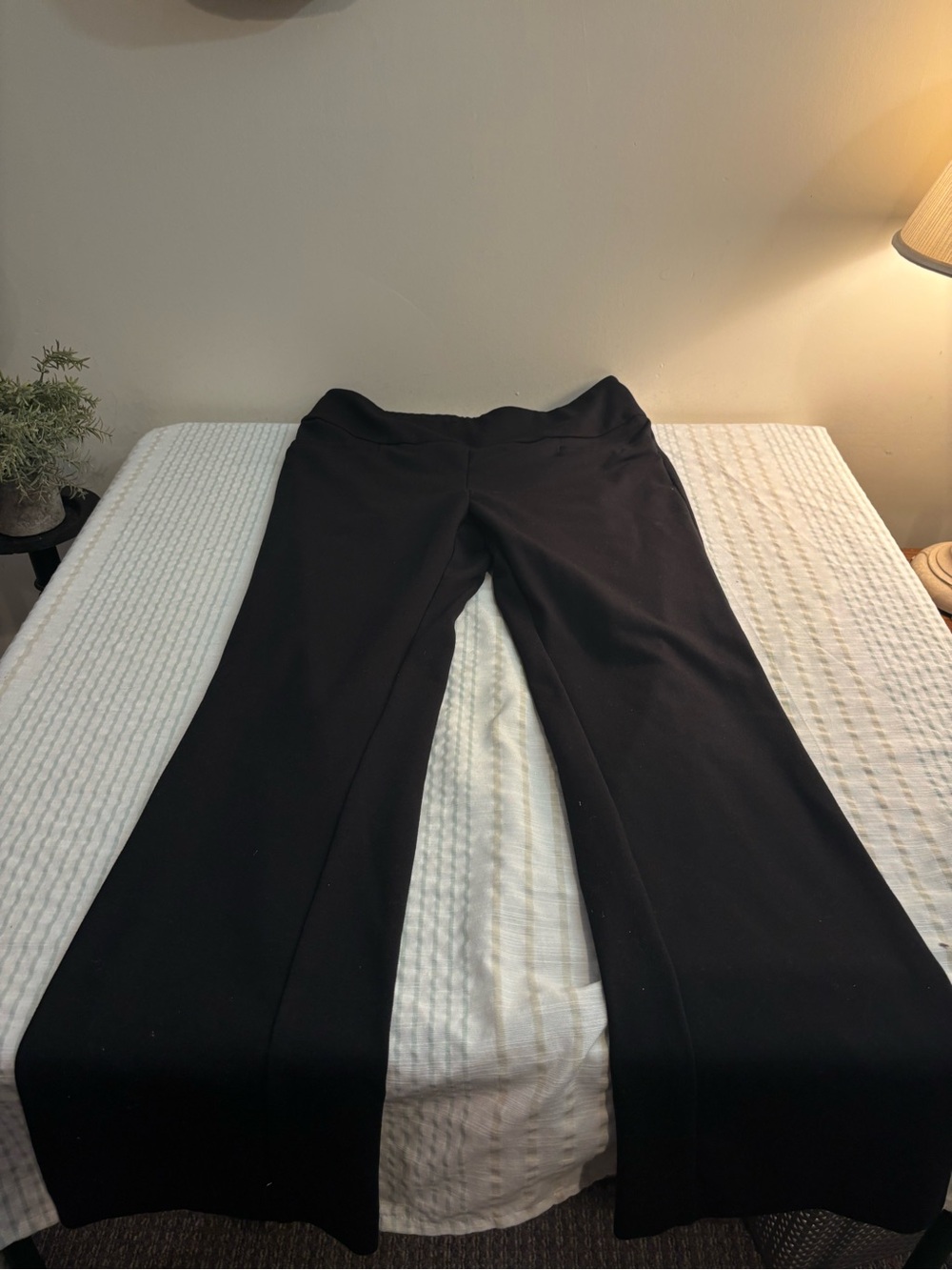 New York & Company Black Straight-Leg Women's Pants
